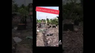 Về quê làm vườn