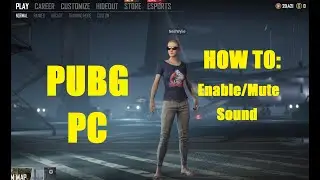 PUBG HOW TO: Enable / Mute Sound