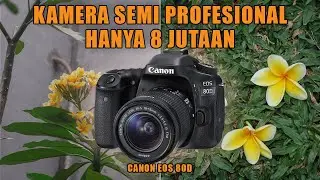 Kamera DSLR Semi Profesional | Review Canon EOS 80D