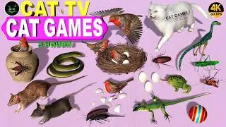 CAT GAMES | ULTIMATE CAT FAVOURITE VIDEO FOR FELINE FRIENDS | BEST CAT TV FOR CATS TO WATCH😻4K 60FPS