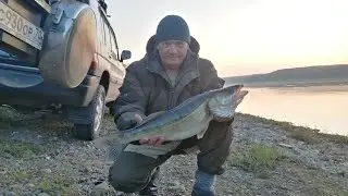 100% СПОСОБ ПОЙМАТЬ СУДАКА ОКУНЯ ЩУКУ С БЕРЕГА БЕЗ СПИННИНГА!
