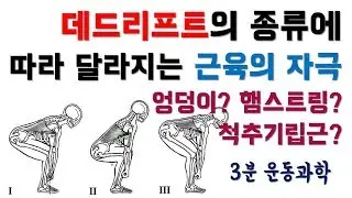 데드리프트의 종류에 따라 달라지는 근육의 자극