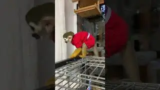 Наш телеграм канал  