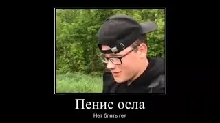 Пенис осла ( нет бл гея) сколько Сантиметров ? 16 в квадрате ? Нет бл 79 кубе