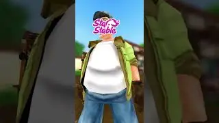 Star Stable in a nutshell