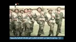 The Syrian Arab Army | 2013 |