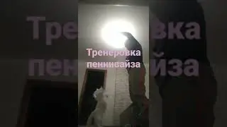 12 ноября 2021 г.