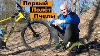 Первый полёт Пчелы или Велопутешествие