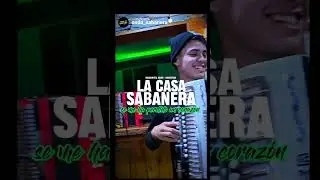 28 de agosto de 2024