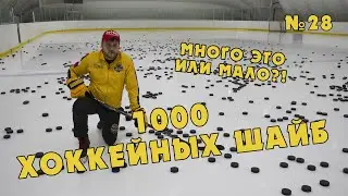 1000 хоккейных шайб много это или мало!?