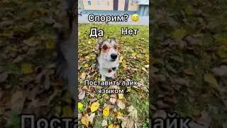 СПОРИМ НА КЛУБНИЧКУ ЧТО ТЫ НЕ СМОЖЕШЬ..
