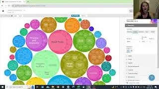 Dive into Flourish: Crafting Packed Bubble Graphs