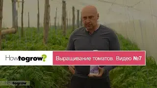 Питание томатов перед цветением. Видео 7