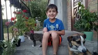 Про хвосты