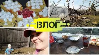 Мягкие ВАФЛИ идеальный РЕЦЕПТ! // Аномальная ЖАРА в Сибири // Занимаюсь ПОДРЕЗКОЙ в саду