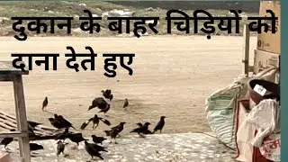 आज हम अपनी दुकान के बाहर चिड़ियों को दाना देते हुए।।