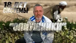 18 ЛЕТ СИСТЕМЫ НАРКОТИКОВ 