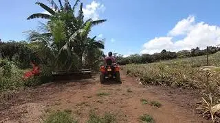 Punatea & Safari iti Tours / Quads