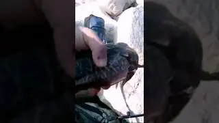 Eging: PESCA alla Seppia in Porto.. 🔝🎣🎣 