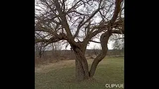 Речка Чурюк-Су.  Крым. март 2023 г.