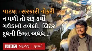 Patan Donkey Farm : ગધેડીનું દૂધ વેચી આ યુવાન કઈ રીતે લાખોની કમાણી કરે છે?