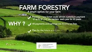 Farm Forest  - A smart option for your farm