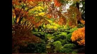 (Steve Holy) Good Morning Beautiful (with lyrics)