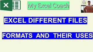 Microsoft Excel different files formats with extension and their uses