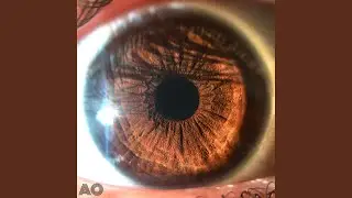 Seasons of The Iris