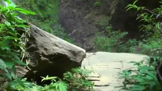 Amazing view of Kudlu Theertha Falls