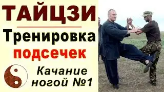 Тренировка подсечек в тайцзицюань. ТАЙЦЗИ ВЕТЕР-ГРОМ