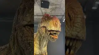 Looking for leftovers  likeeeeee.                   #foodies #dinosaur #izonmag #izon #izonfood #eat