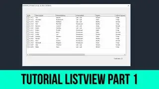 CREATING A DATA INPUT FORM WITH LISTVIEW PART 1 | EXCEL & VBA TUTORIAL