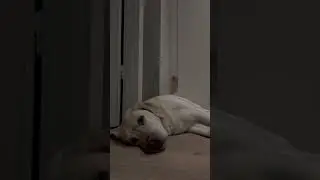 Провёл время с семьёй