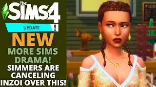 SIMMERS ARE CANCELING inZOI OVER THIS....