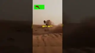 ЛИТВИН РАЗЛОЖИЛСЯ НА БАГГИ 🔥 #литвин