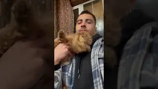 Копия Бары 