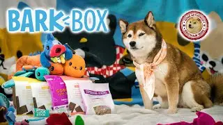 Unboxing the April 2021 BarkBox - Galapagos: Tails of the Tropics