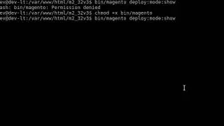 bin/magento Permission denied