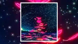 reborn (prod. justxrolo)