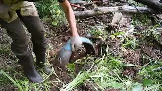 Откопал коляску мотоцикла