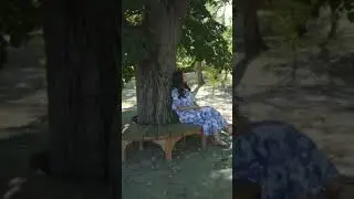 La umbra aripilor Tale - Deea