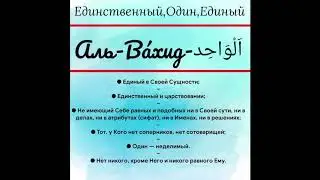 Мир ислама