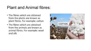 ANIMAL FIBRES 