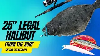 Halibut Surf Fishing: Epic 25