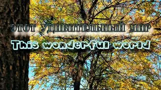 Этот удивительный мир - This wonderful world