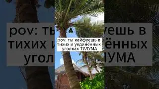 Вайб Тулума🏝️ #тулум #путешествия #мексика #туризм #отдых #пальмы #пляж #песок #гамак #релакс #вайб