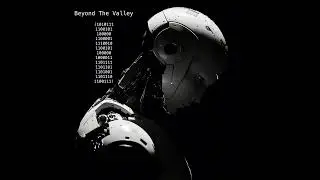 Beyond The Valley- Where is AI leading us?
