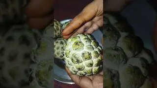 Husbunallahu wa niyamal wakeel#shots #viral#food #custard #feed