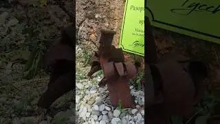 Так выглядит разорвавшийся снаряд Катюши